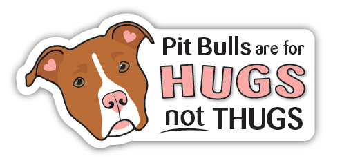 Hugs, Not Thugs Magnet