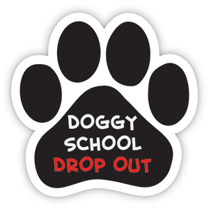 Doggy School Drop Out