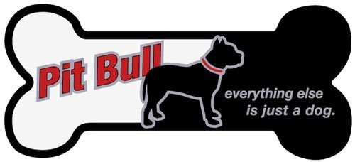 Everything Else Is Just a Dog (Bone) Magnet