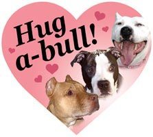Hug A Bull Heart
