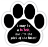 Pick of the litter