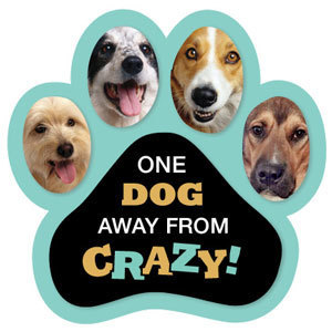 One Dog Away from Crazy