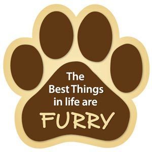The best things in life are furry