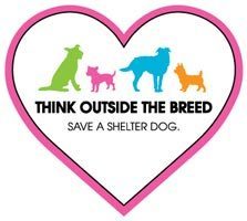 Think Outside the Breed Magnet