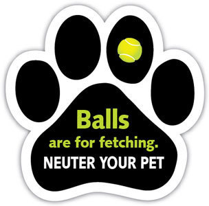 Balls are for Fetching Magnet