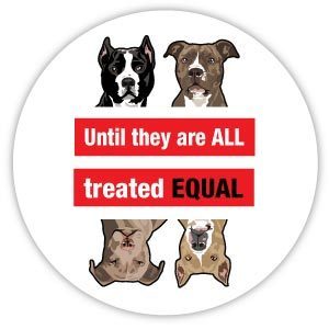 Pit Bull Equality Magnet