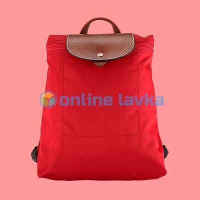 Рюкзак городской Remax Double 521 red Рюкзак городской Remax Double 521 red