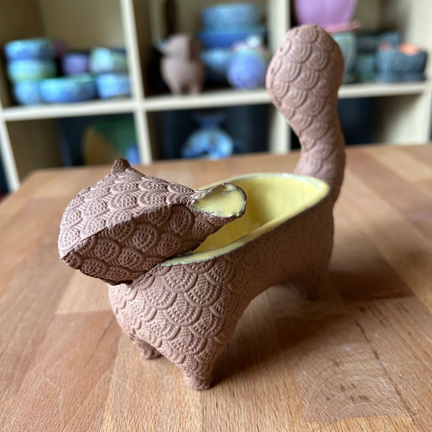 Small Squirrel in yellow and bare brown clay