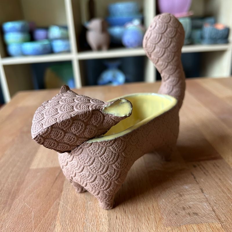 Small Squirrel in yellow and bare brown clay