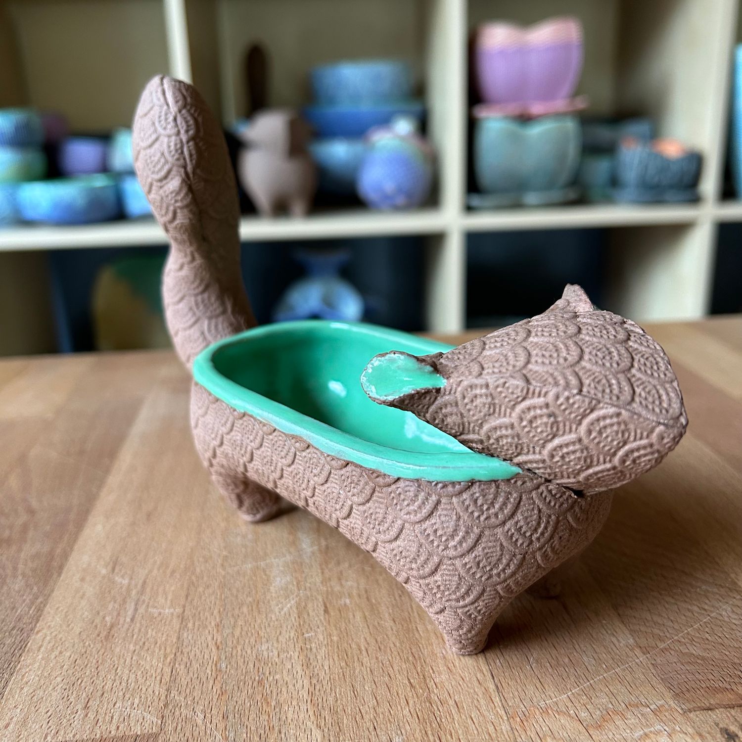 Small Squirrel in green and bare brown clay