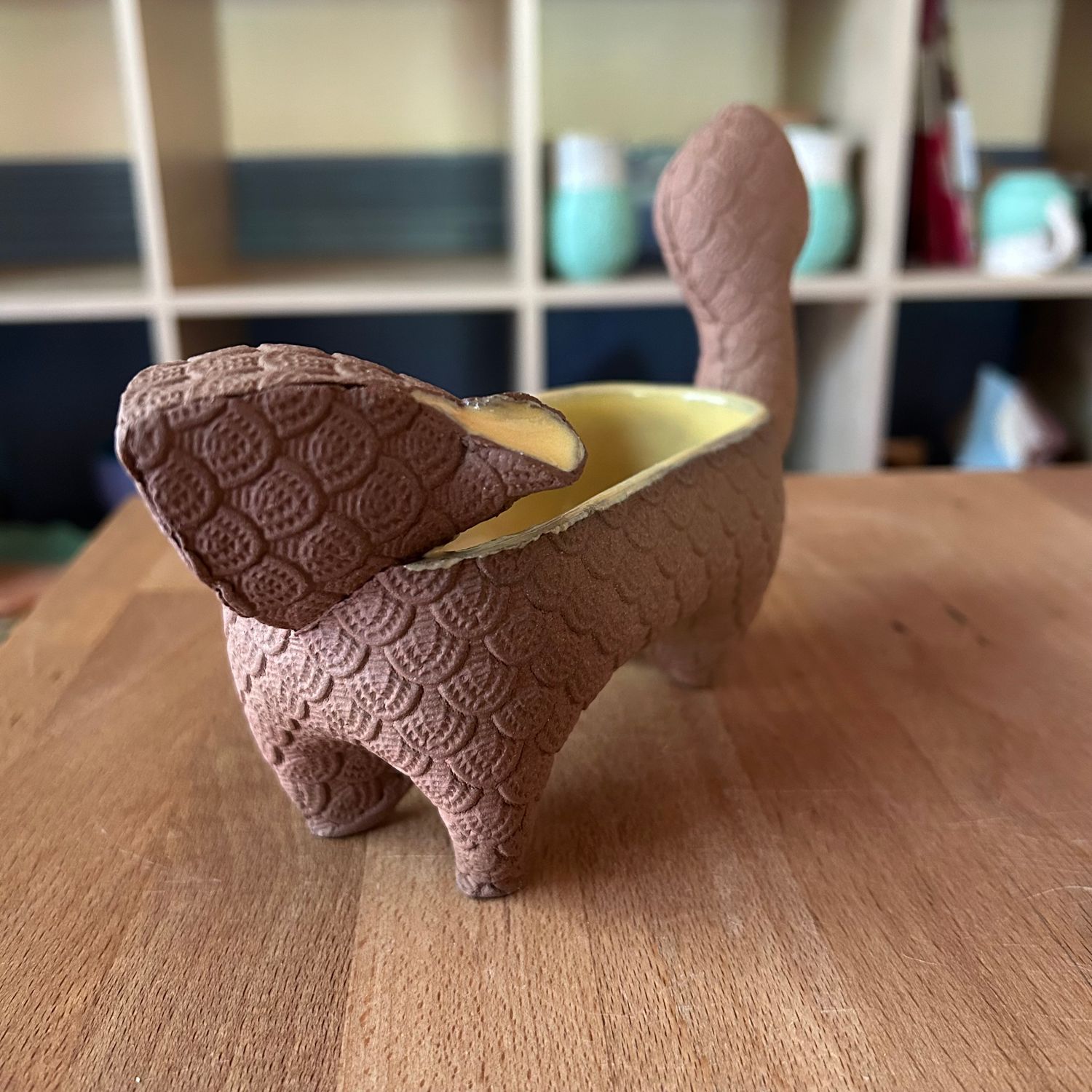Small Squirrel in yellow and bare brown clay
