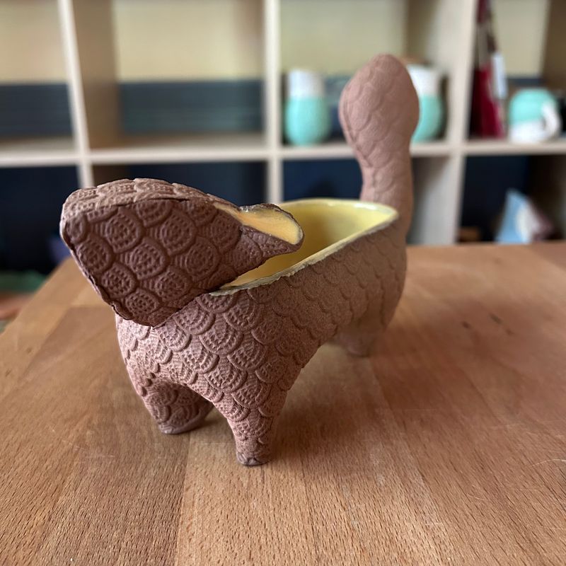 Small Squirrel in yellow and bare brown clay