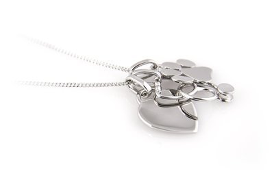 Veterinary Necklace, Stethoscope Paw Print and Heart in Sterling Silver -  Veterinarian Gift