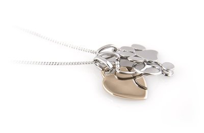 Veterinary Necklace, Stethoscope Paw Print and Rose Gold Plated Heart Veterinarian Gift