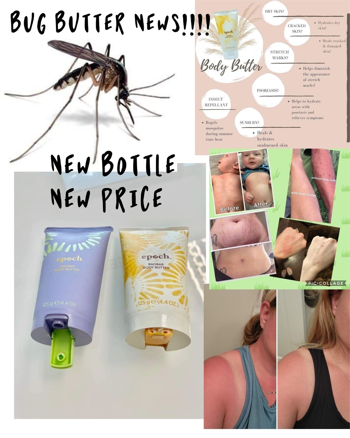 Body Butter (bug butter)