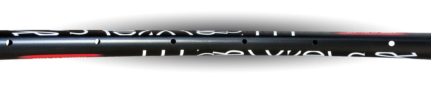 DIRTi 30AS Rim - 700c - Gravel