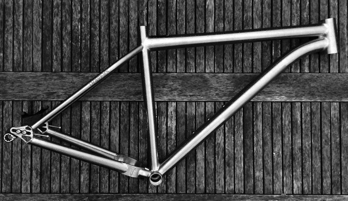 ANGUS II - Singlespeed Titanium frame