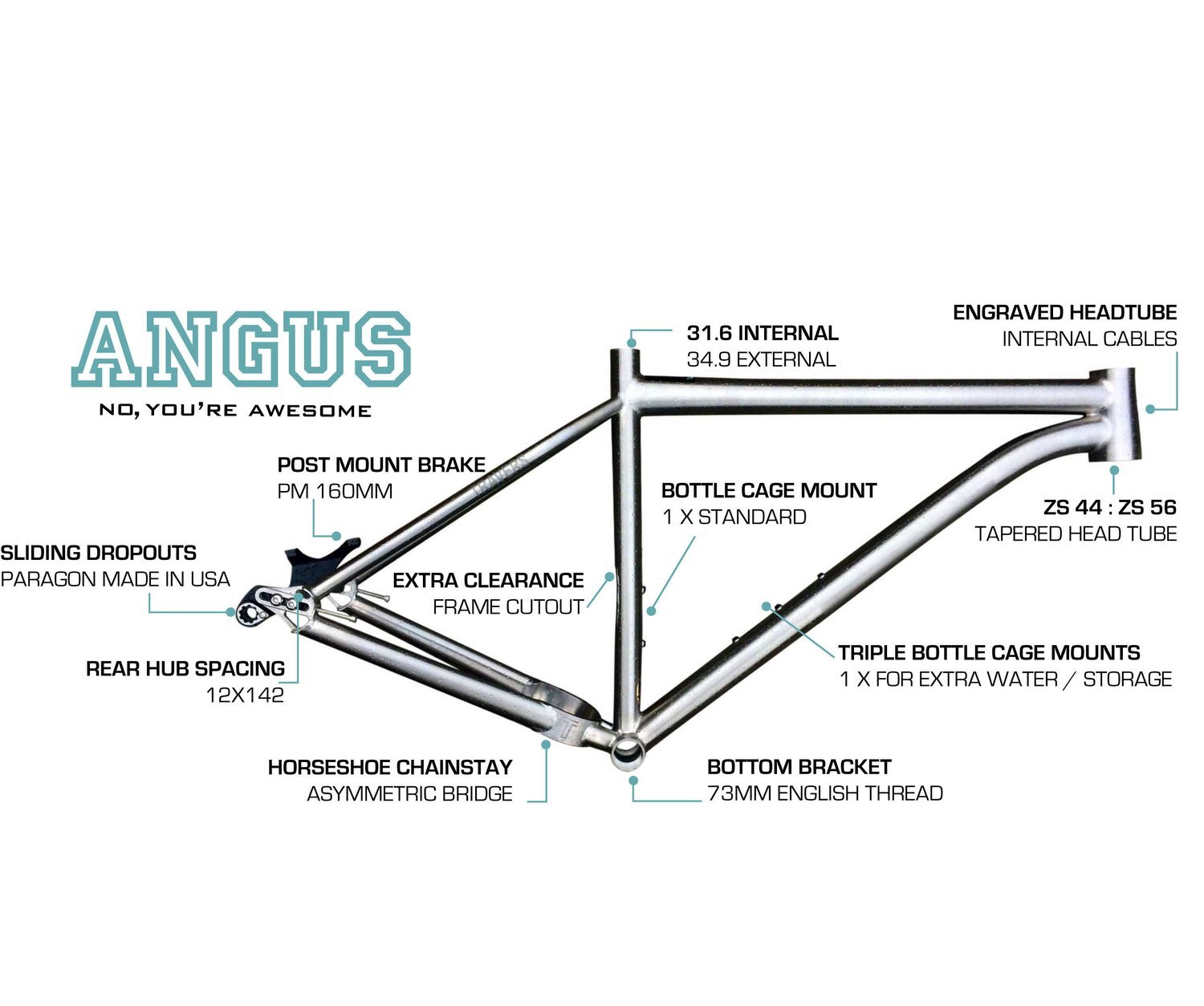 ANGUS II - Singlespeed Titanium frame