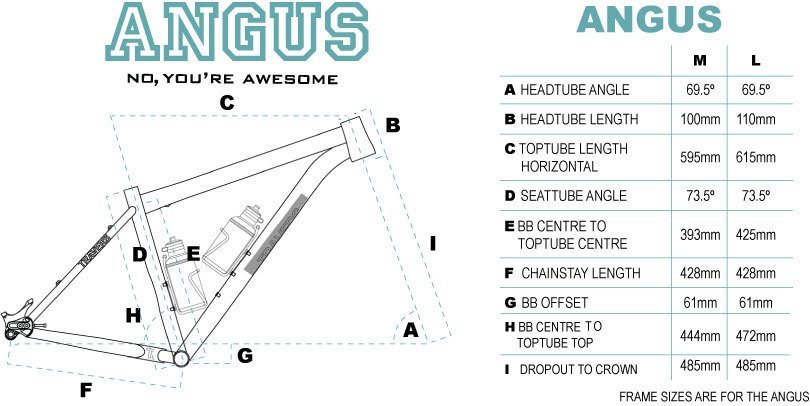 ANGUS II - Singlespeed Titanium frame