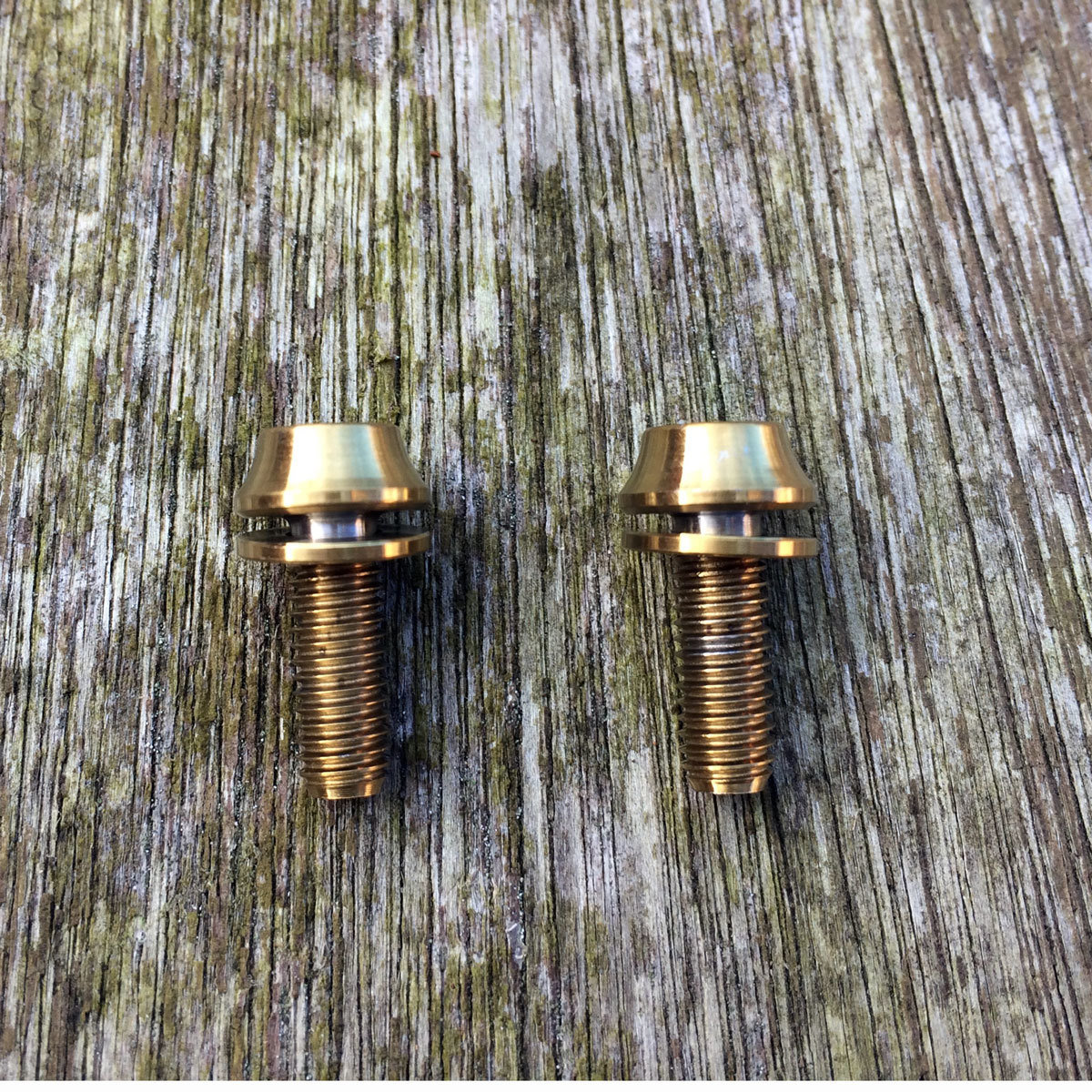 Titanium Bottle Cage Bolts (Pair)