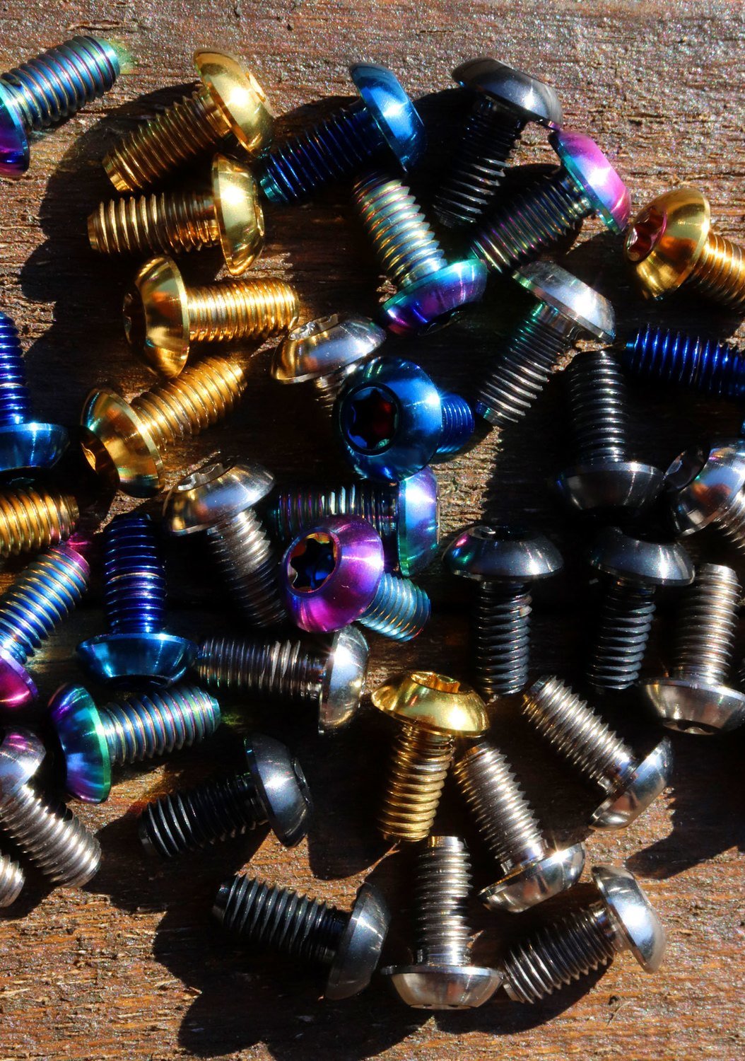 Travers Titanium Rotar Bolt - Set 12 bolts