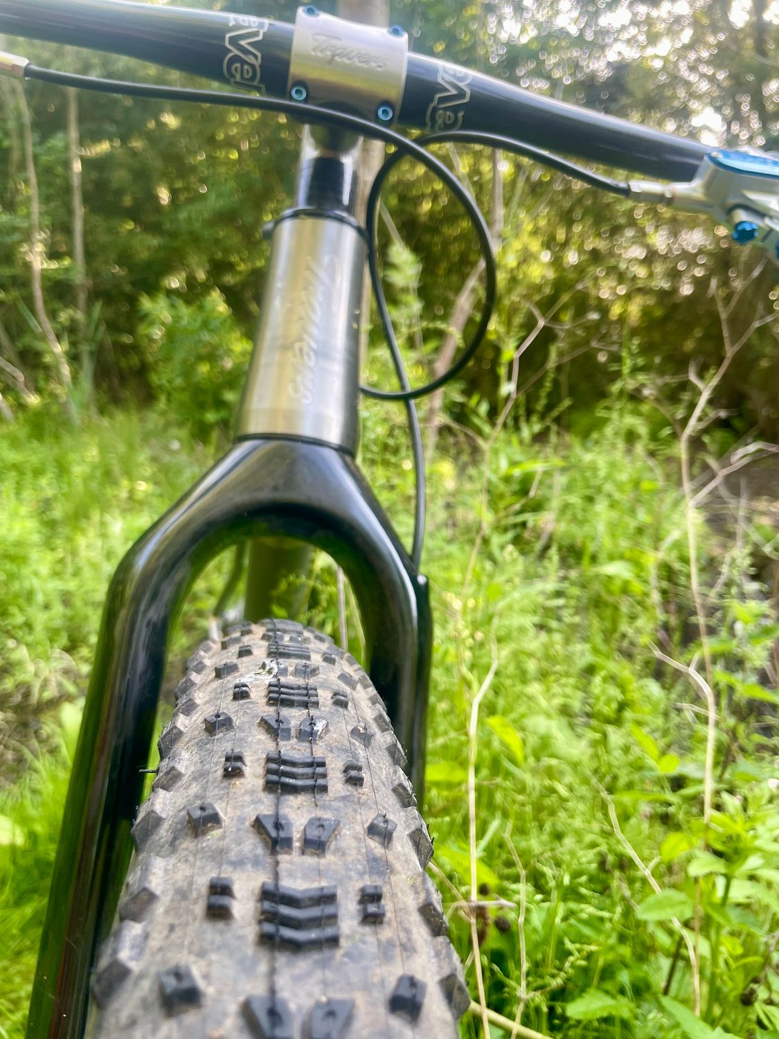 EVO Prong Carbon MTB Fork