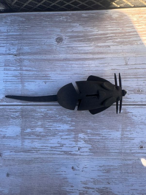 Chicken Rat (Black)
