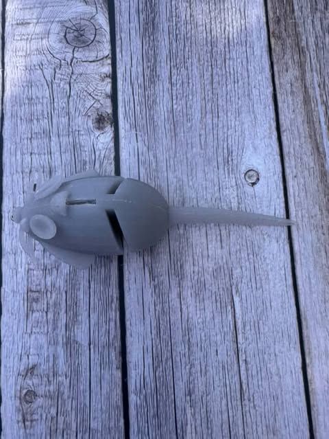Chicken Little (Rat) Gray