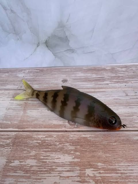 6” Chicken Gizzard-Gillroy