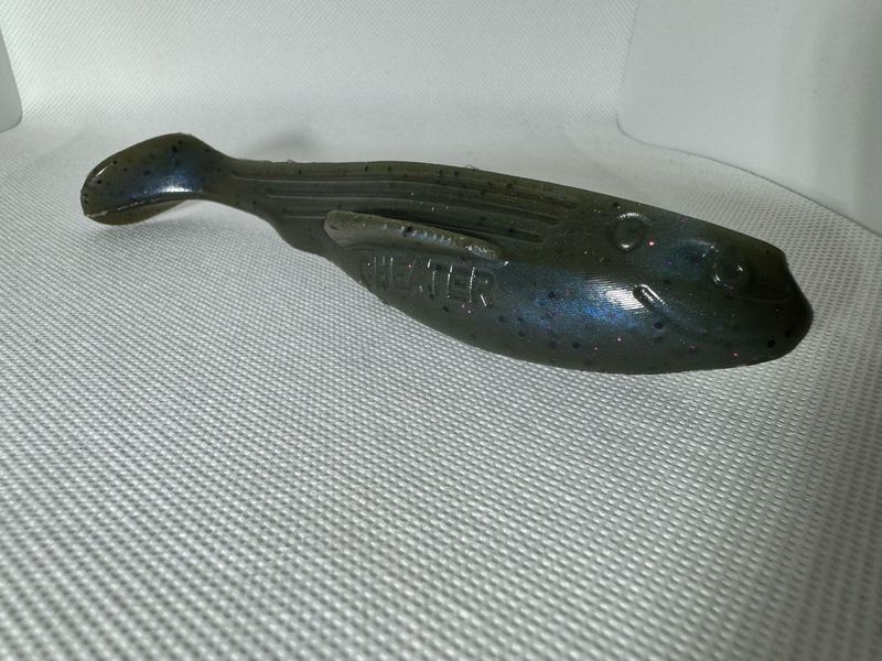 6&quot; Cheater-Polygraph