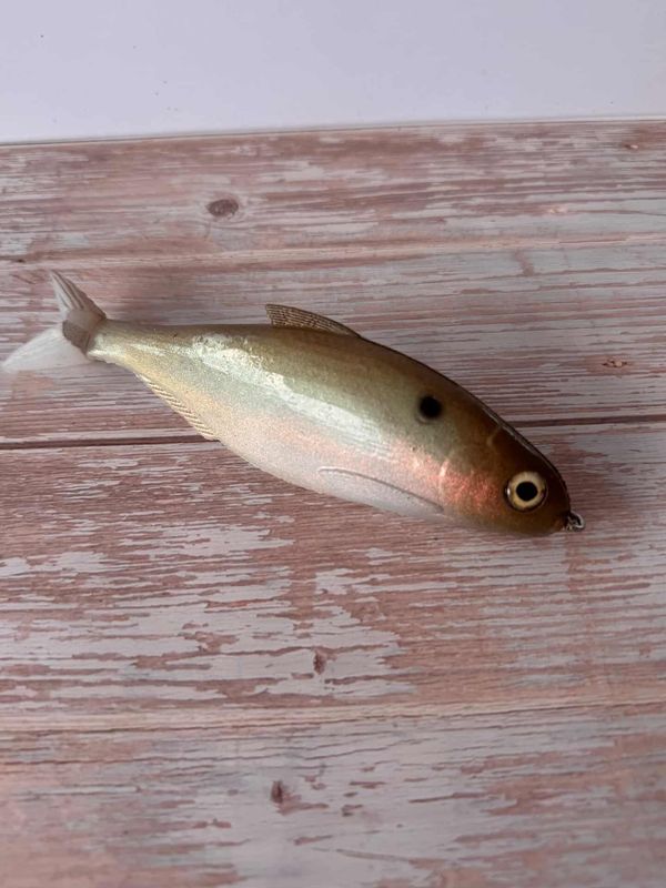 6” Chicken Gizzard-Green