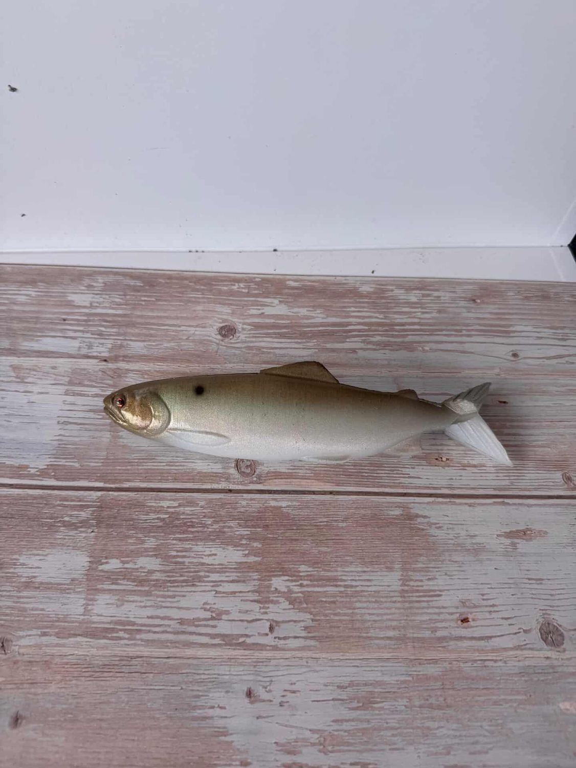 8.5" Cloak-Green Gizzard