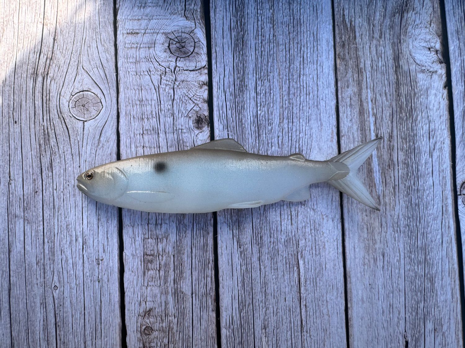 8.5" Cloak (Riddler)