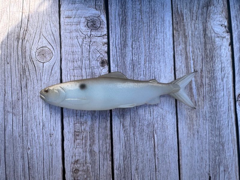 8.5" Cloak (Riddler)