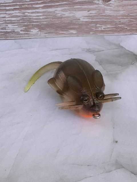 Chicken Nugget-Gillroy