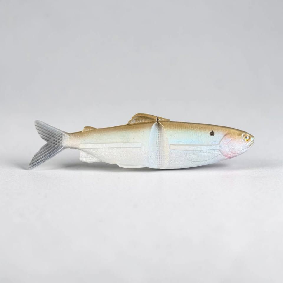 7" The Clide-Olive gold back color shift with silver belly