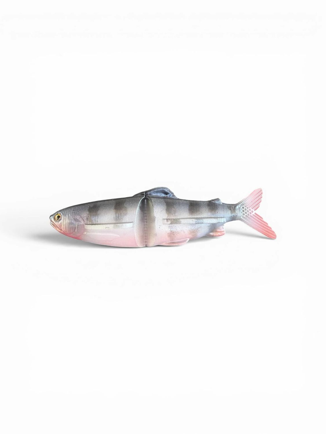 7" The Clide-Tilapia