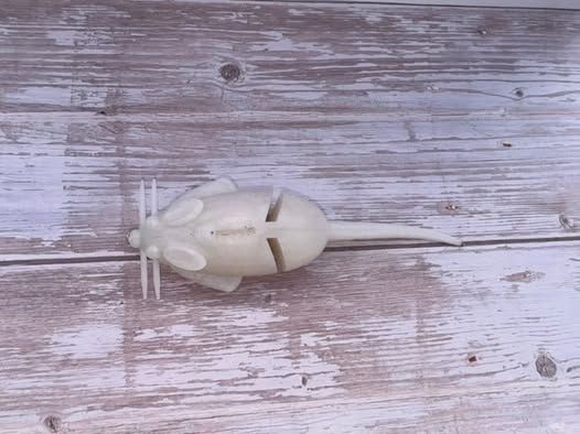 Chicken Little Rat (White)