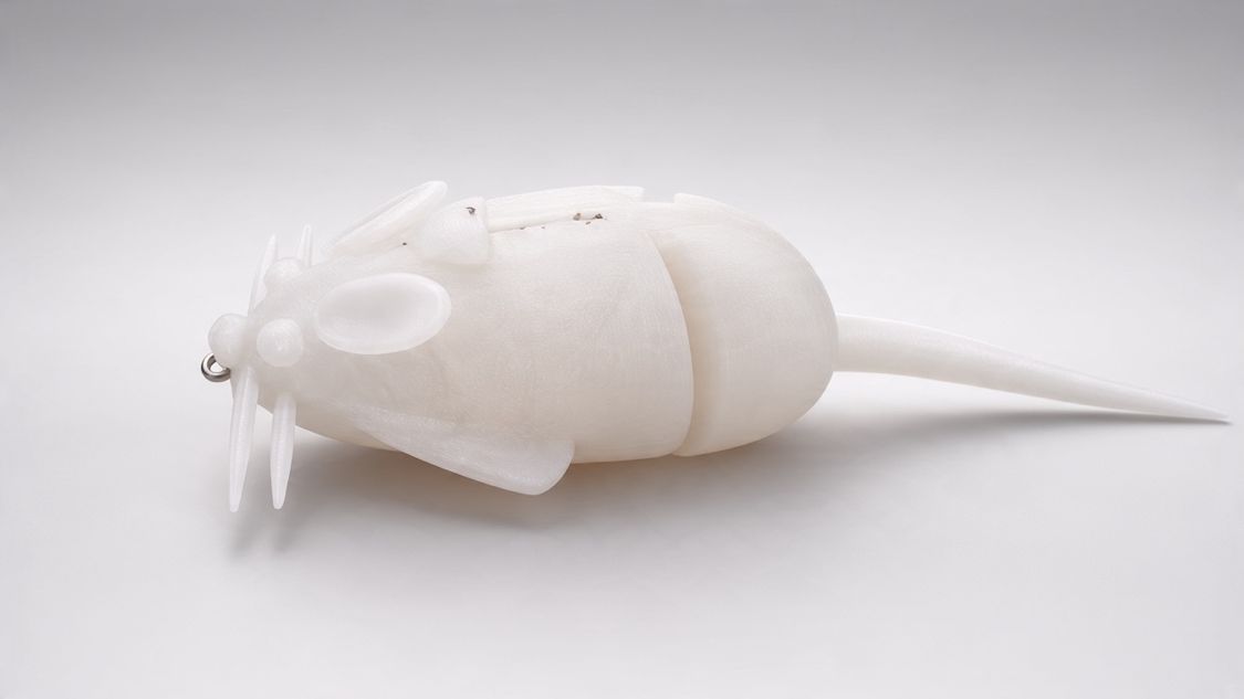 Chicken Little Rat (White)