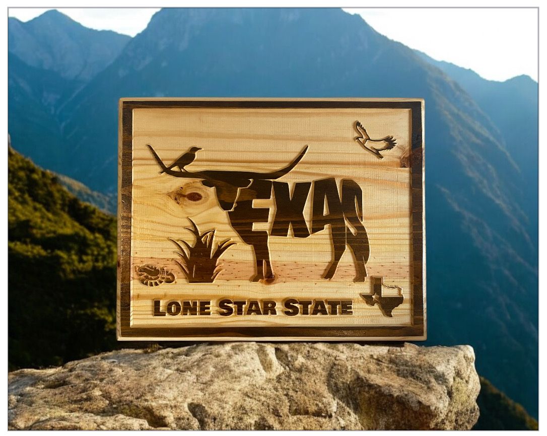 Longhorn - Lone Star State