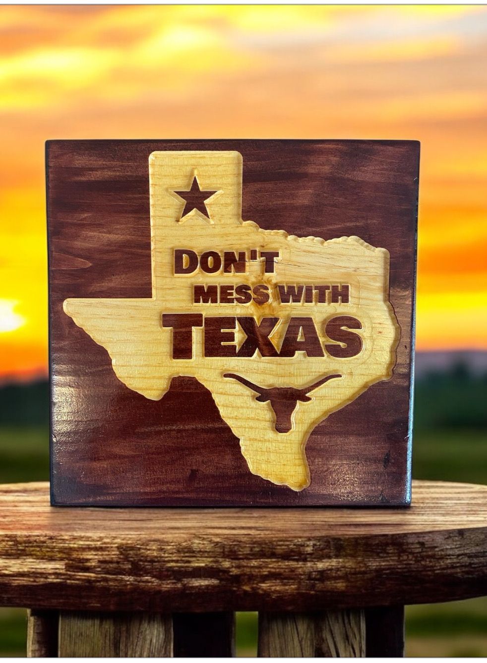 ‘Don’t Mess With Texas’ Wall Décor