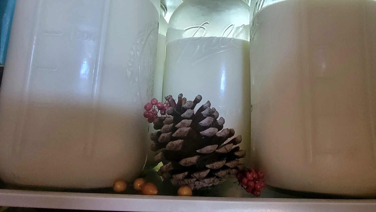 Goat Milk (Raw)