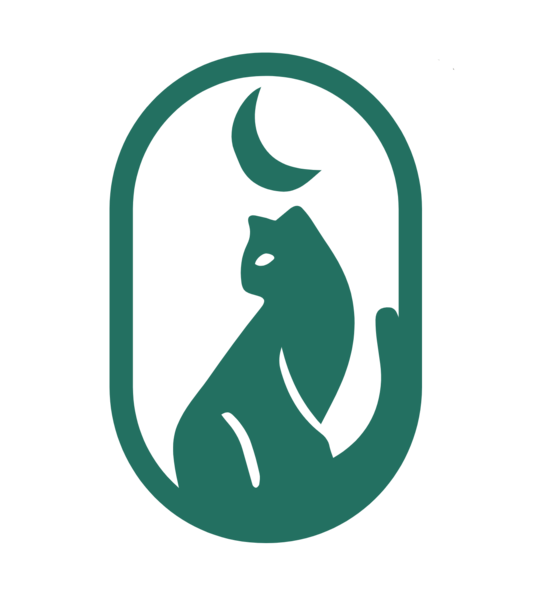 Pixxel Studio
