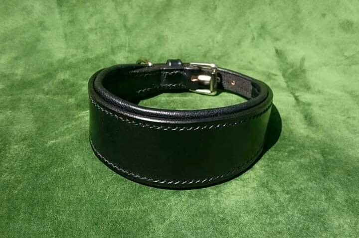 Padded whippet collars