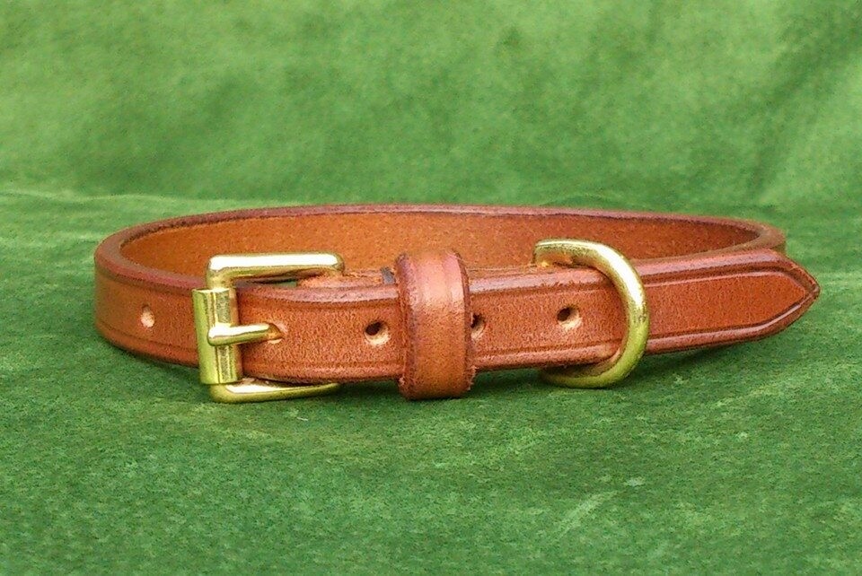 Plain leather collar