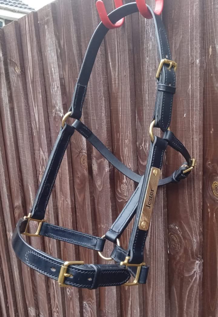 Adjustable Headcollar from £170