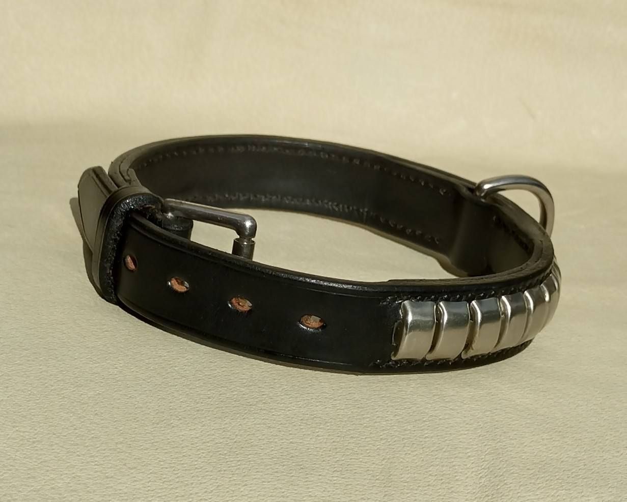 Ready Stock 1" Staffordshire Bull Terrier Collar
