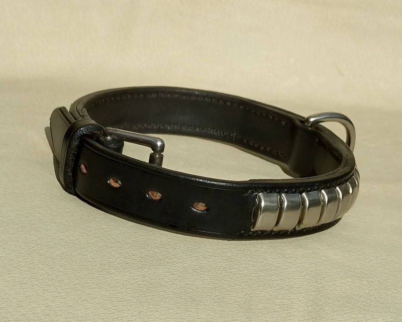 Ready Stock 1" Staffordshire Bull Terrier Collar