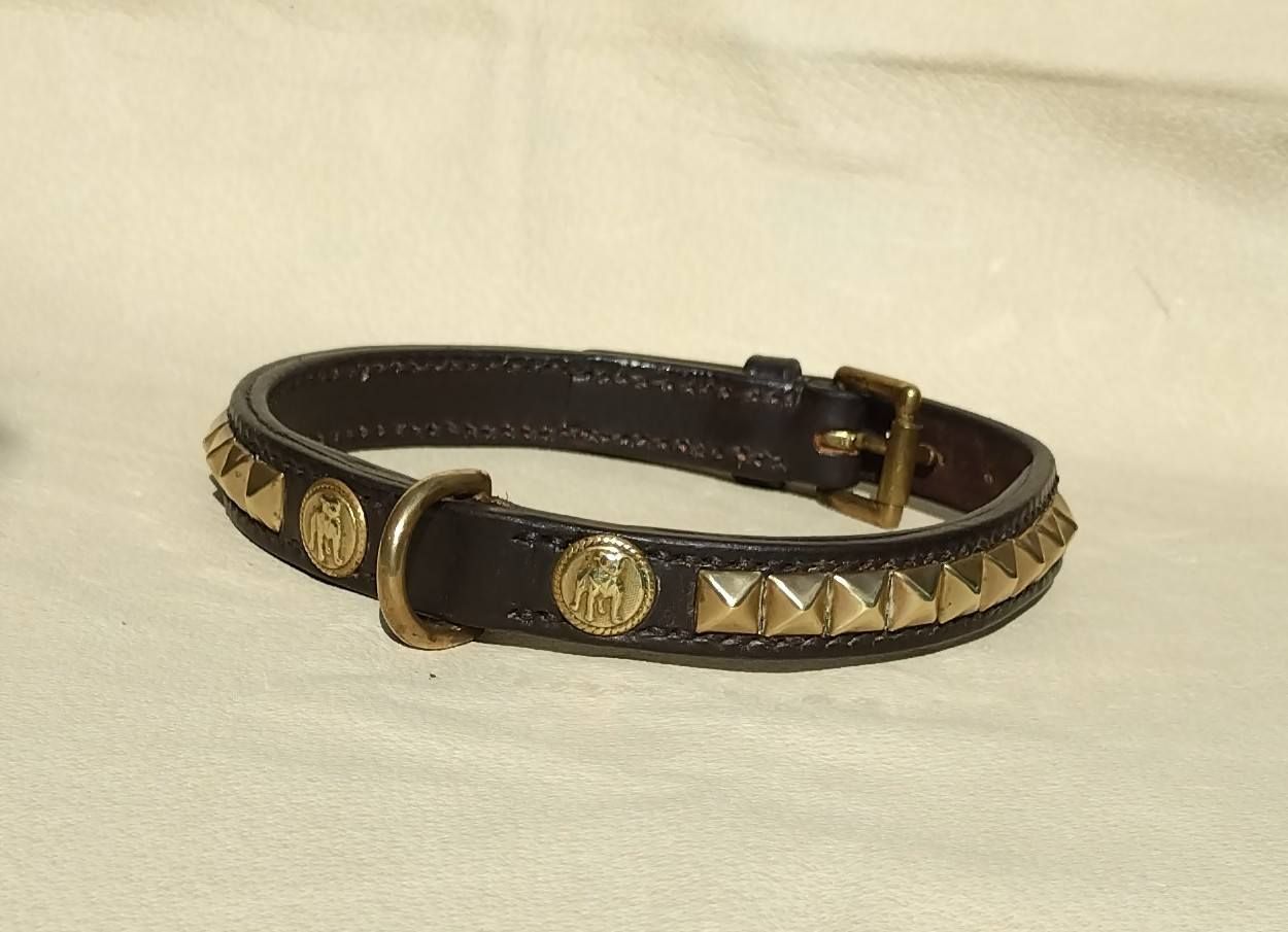 Ready Stock  3/4" Staffordshire Bull Terrier Collar