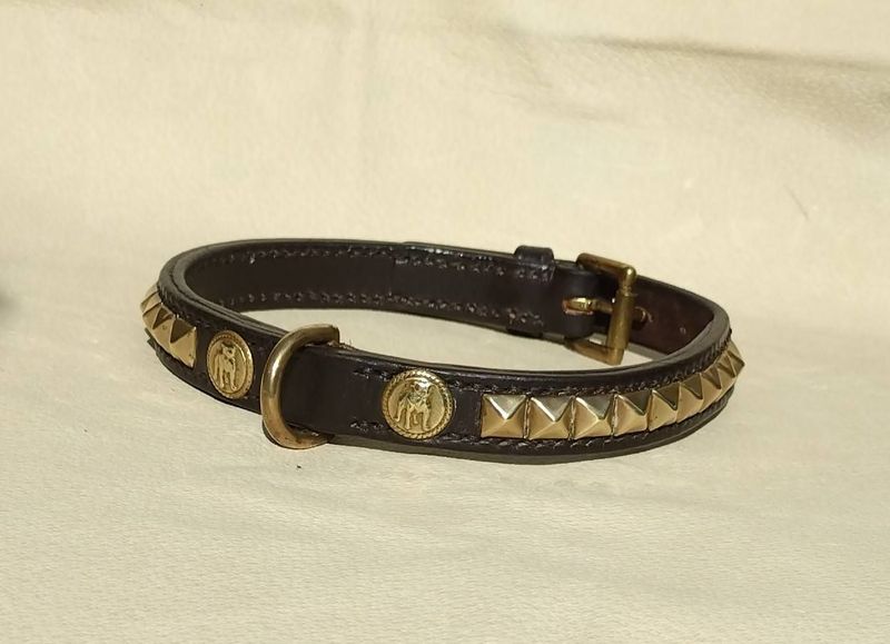 Ready Stock  3/4" Staffordshire Bull Terrier Collar